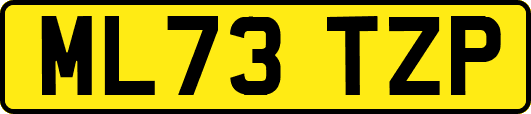 ML73TZP