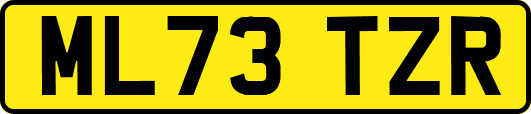 ML73TZR