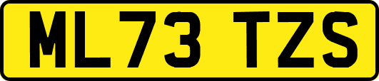 ML73TZS