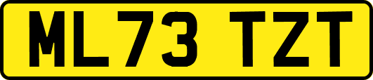 ML73TZT