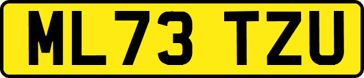 ML73TZU