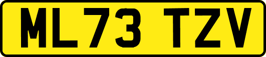 ML73TZV