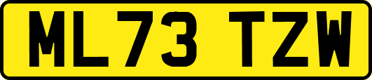 ML73TZW