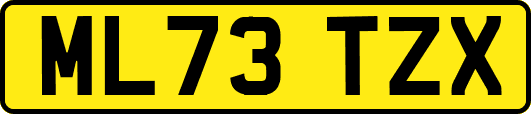 ML73TZX