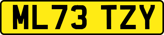 ML73TZY