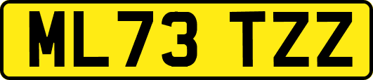 ML73TZZ