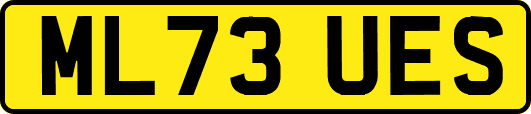 ML73UES