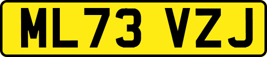 ML73VZJ