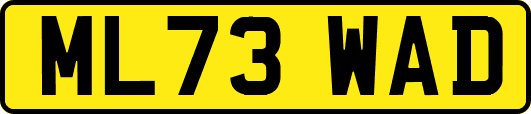 ML73WAD