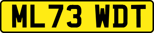 ML73WDT