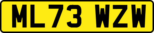 ML73WZW