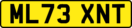 ML73XNT