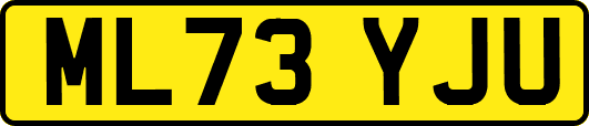 ML73YJU