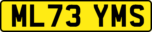 ML73YMS