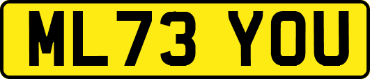ML73YOU