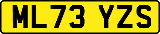 ML73YZS