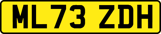ML73ZDH