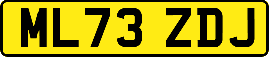ML73ZDJ