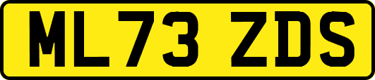 ML73ZDS