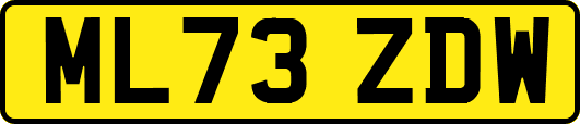 ML73ZDW