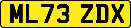 ML73ZDX