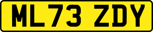 ML73ZDY