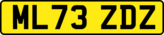 ML73ZDZ