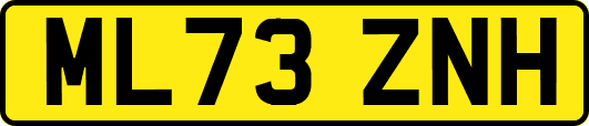 ML73ZNH