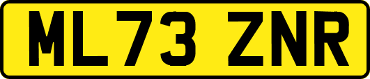 ML73ZNR