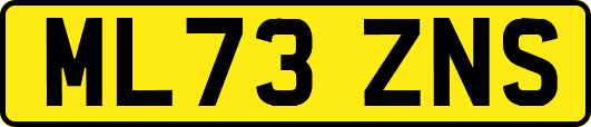 ML73ZNS