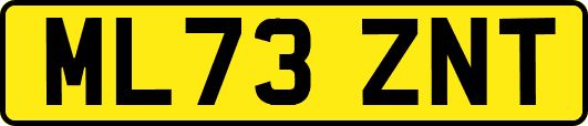 ML73ZNT