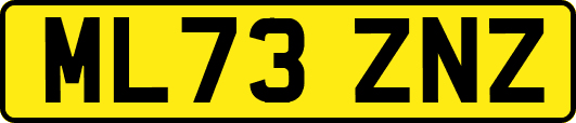 ML73ZNZ
