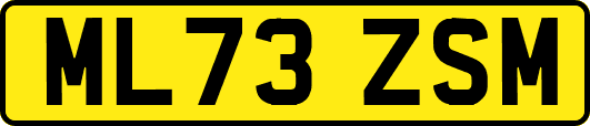 ML73ZSM
