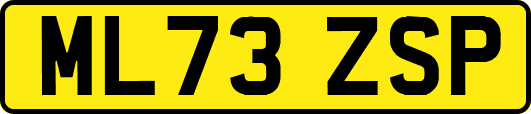 ML73ZSP