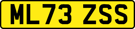 ML73ZSS