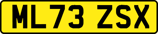 ML73ZSX