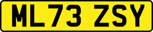 ML73ZSY