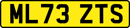 ML73ZTS