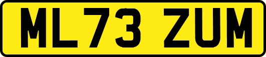 ML73ZUM