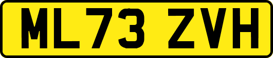 ML73ZVH