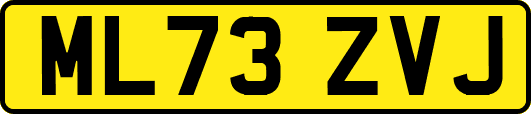 ML73ZVJ