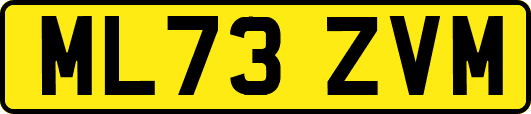 ML73ZVM