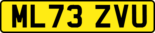 ML73ZVU