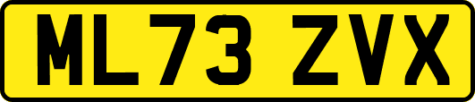 ML73ZVX