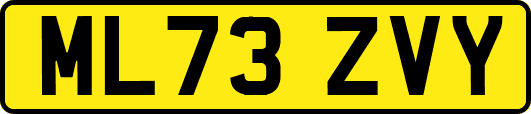 ML73ZVY