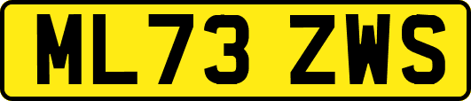 ML73ZWS