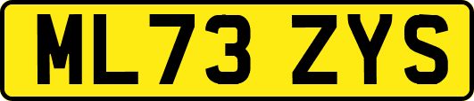 ML73ZYS