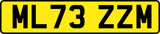 ML73ZZM