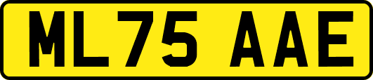 ML75AAE
