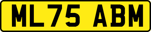ML75ABM
